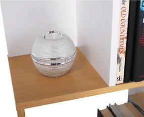 Könyvespolc, tűnyalábos fenyő/fehér, ERDEM NEW TYP 1