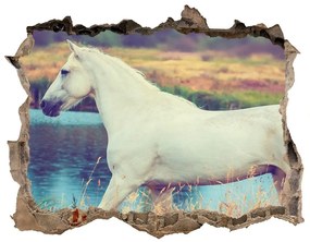 3d lyuk fal dekoráció White horse-tó nd-k-87150545