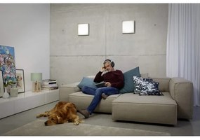 Ledvance - LED Mennyezeti lámpa LUNIVE LED/14W/230V