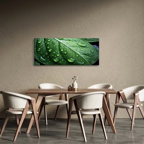 Kép - Részlet levél eső után (120x50 cm)