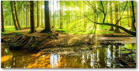 Fotó üvegkép Palánta az erdőben 140x70