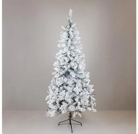 Karácsonyfa SCOTLAND 210 cm fenyő