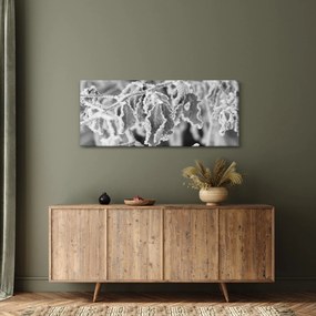 Kép - Fagyott levelek, fekete-fehér (120x50 cm)