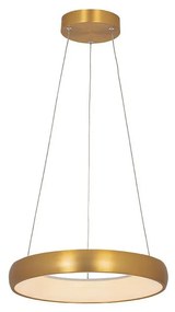 Zambelis 2046 - LED dimmelhető csillár zsinóron LED/30W/230V átm. 40 cm arany