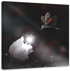 Gario Vászonkép Kolibri és mágikus virág - Zehem Chong Méret: 30 x 30 cm