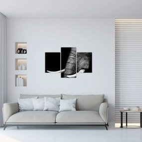 Kép - Elefánt agyar (90x60 cm)