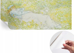 Öntapadós tapéta Fali furnér 3D hatás Tavaszi pihenés 250x104 cm