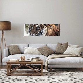 Tigris képe (órával) (90x30 cm)
