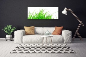 Vászonfotó fű növény 100x50 cm