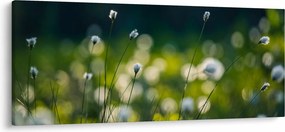 Kép - Fű (120x50 cm)