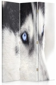 Gario Paraván Szibériai husky Méret: 110 x 170 cm, Kivitelezés: Klasszikus paraván