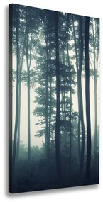 Feszített vászonkép Köd az erdőben ocv-106280644