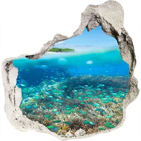 3d lyuk fal dekoráció Korallzátony nd-p-78236057