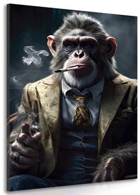 Kép állati gengszter csimpánz