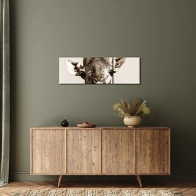 Kép - Zsiráf portré, vintage (órával) (90x30 cm)
