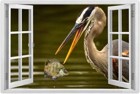 Poszterek 60x40 Kalapos madár Tájkép Kilátás