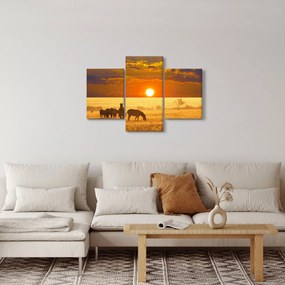 Kép - Zebrák naplementével (90x60 cm)