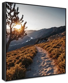 Kép 50x50 cm Mountain Path