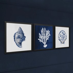 Kép 30x30 cm Sea Treasure – Styler