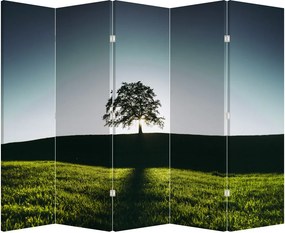Paraván - Fa (210x170 cm)