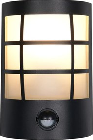 Fali kültéri lámpa (magasság 20 cm) Sintra – Trio