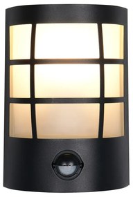 Fali kültéri lámpa (magasság 20 cm) Sintra – Trio