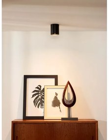 Lucide 09100/01/30 - Spotlámpa BODI 1xGU10/50W/230V