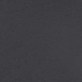 fekete behúzható oldalsó napellenző 120 x 1000 cm