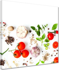 Vászonkép 30x30 Friss kakukkfű gyógynövények