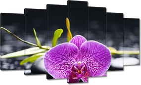 Vászonkép 140x80 Lila orchidea