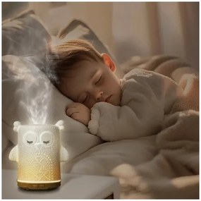 LED RGBW Aroma diffúzor LED/8W/230V 100 ml bagoly