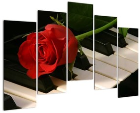 Képek - rózsa a zongorán (125x90cm)