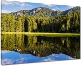 Vászonkép 70x50 Hegyi táj gyönyörű felhőkkel Fák a hegyekben