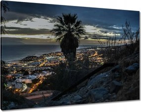 Vászonkép 100x70 Tájkép pálmafákkal