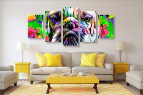 5 részes kép pop-art bulldog