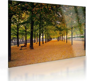 Egy kép az őszi fák sikátorából (üvegen) (70x50 cm)