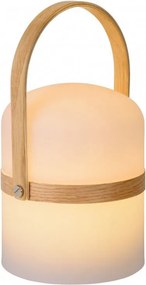 LUCIDE 06800-03-31 JOE Kültéri Dekorációs Lámpa LED IP44