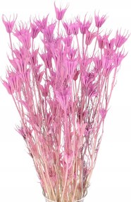 Szárított fekete keleti lila Nigella szárított virág csokor