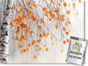 Fotótapéta Flizelina Természet Nyírfa Ősz 350x250 ragasztó