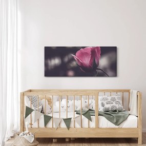 Kép - Rózsa virág részlete (120x50 cm)