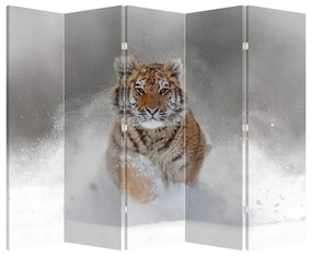 Paraván - Futó tigris a hóban (210x170 cm)