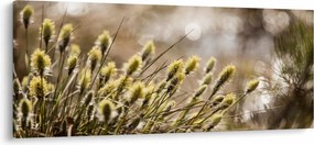 Kép - Zöld növényzet (120x50 cm)