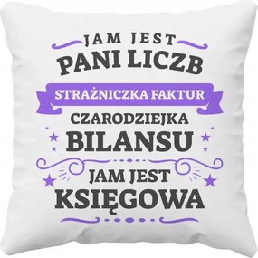 Én vagyok a számok őrzője, én vagyok a könyvelő Könyvelői Párna
