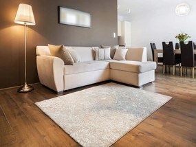 Butterfly Admiral rövid sörtéjű szőnyeg, 240 x 340 cm