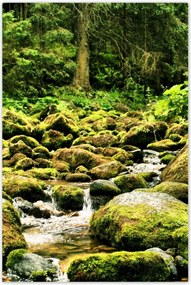 Poszterek 80x120 Tátra Lengyel hegyek Kilátás