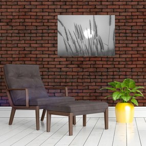 Üveg kép - Mező naplementében (70x50 cm)