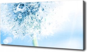 Canvas falikép Pitypang 120x60 cm