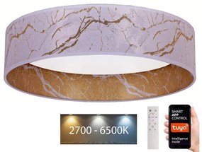 Brilagi - LED Dimmelhető lámpa VELVET SMART LED/36W/230V Wi-Fi Tuya + távirányító