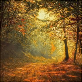 Stílusos Dekoratív Fotótapéta Flizelin Őszi tájkép 250x250 Ragasztó