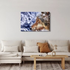 A farkas képe (90x60 cm)